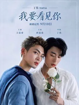 我要看见你（2026），主演：丁伟、王晨睿 CHENRUI WANG、孫逍逍 XIAOXIAO SUN 高清海报
