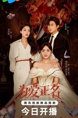 为爱正名(2026),主演:波棱盖儿、张集骏、韩乐瑶、安泳畅、罗楚凡、魏亦菲、吴岚 高清海报
